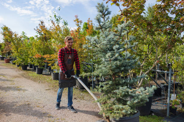  Candlewick Lake, IL Tree Removal and Landscaping Services Pros